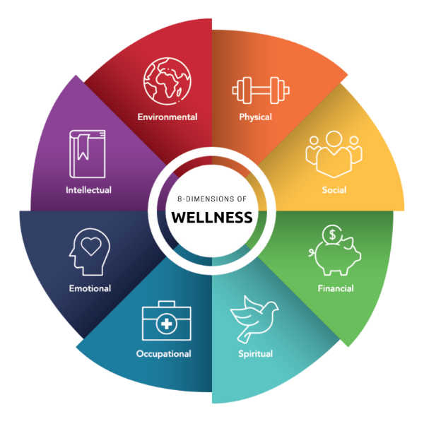 Unveiling the Wholesome World of Clean Simple Eats: A Review