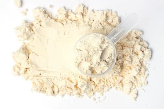 Clean Protein Powder || What You Need To Know